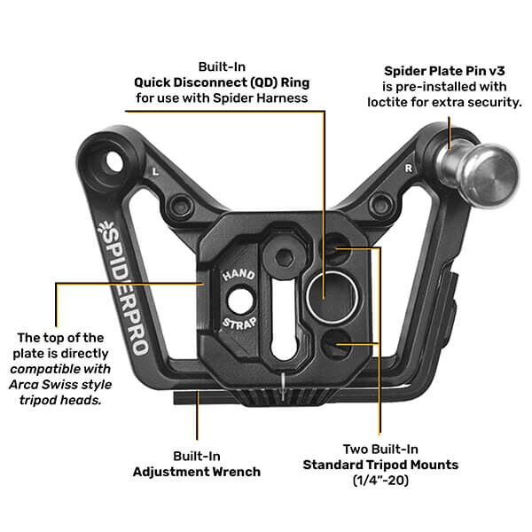 Detailaufnahme Holster mit Auto-Lock Funktion in braun Detailaufnahme Holster mit Auto-Lock Funktion in braun