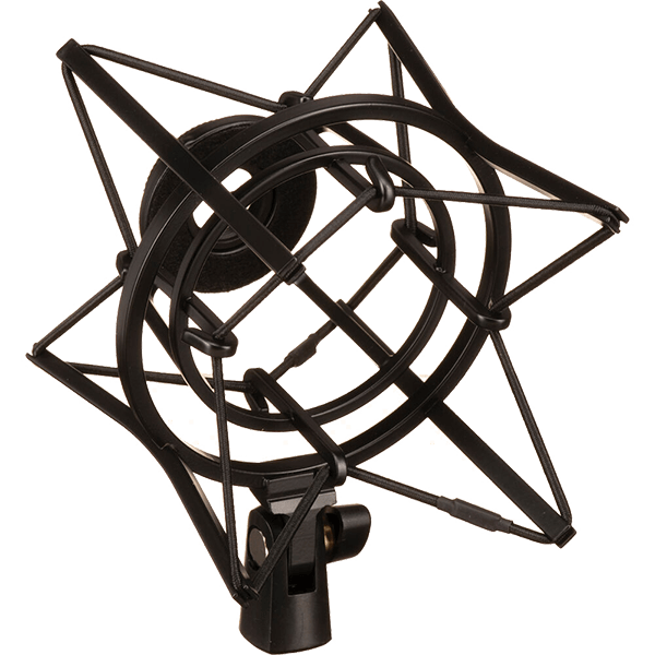 RODE X XDM-100 dynamisches USB-C Mikrofon mit erweitertem DSP Haltespinne