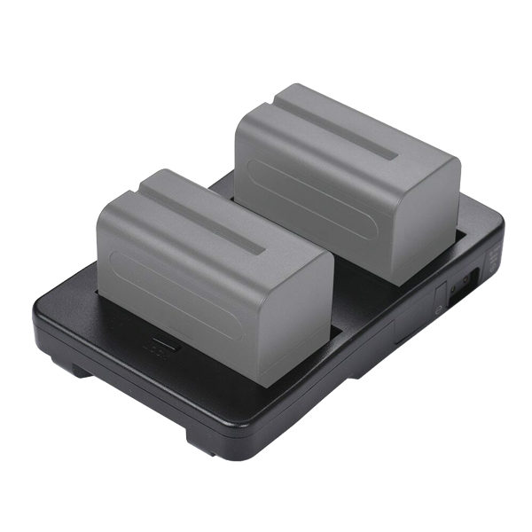Adapterplatte NP-F Batterie auf V-Mount mit Akkus