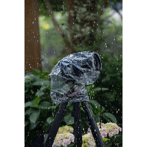 Fotografieren mit Haida Schutz large im Regen