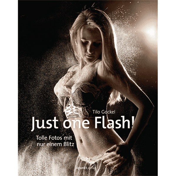 Buch Just one Flash von Tilo Gockel