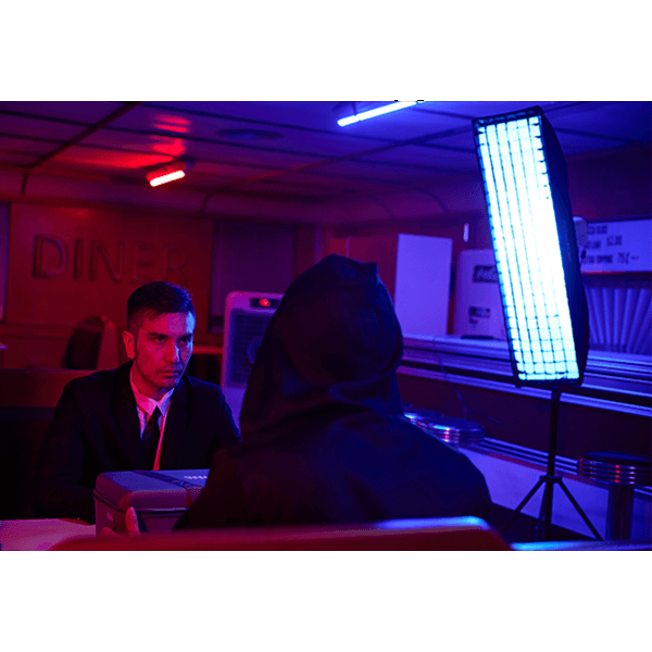 Godox Litemons Dauerlicht LA300Bi mit Bowens Anschluss in Anwendung