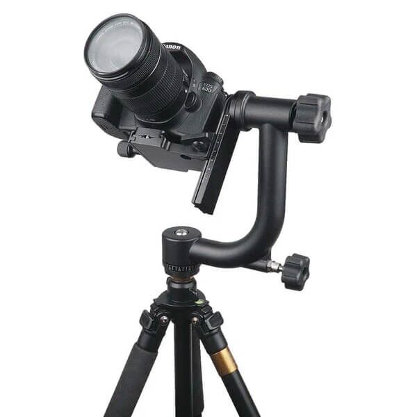 Camera gimbal tripod head with mounted camera