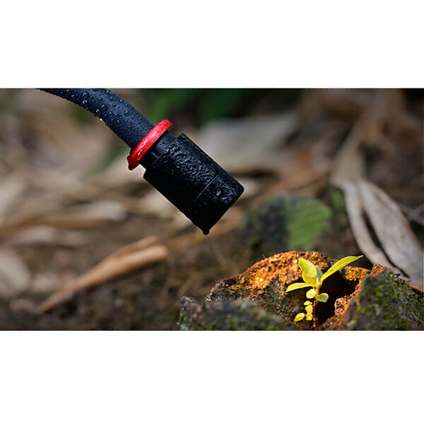 Smallrig LED Leuchte Makrofotografie