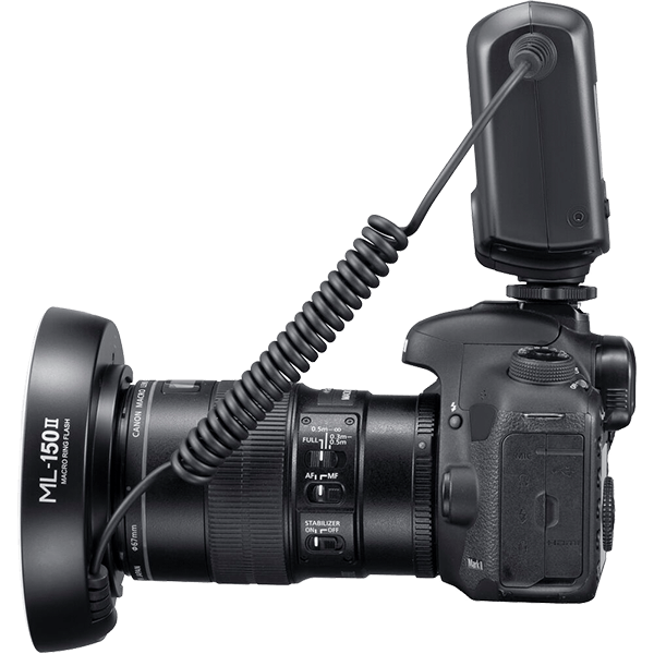 Ringblitz Godox ML-150 II zur Makrofotografie