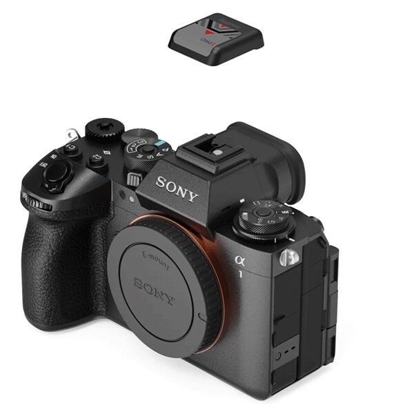 Smallrig Blitzschuhabdeckung fuer Sony