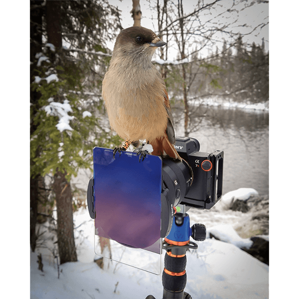 Haida M10-II Weihnachts Set zur Landschaftsfotografie