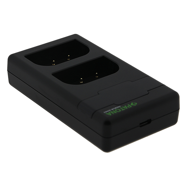 Doppel USB C Ladegerät zu Panasonic DMW-BLF19E und BLK22 USB-C Anschluss