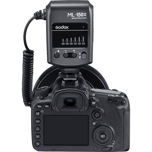 Ringblitz Godox ML-150 II zur Makrofotografie