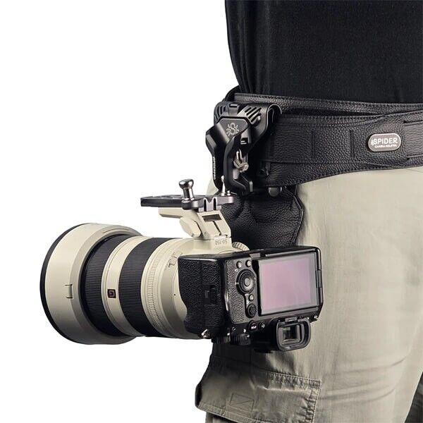 SpiderPro Lens Collar Plate v3 Long Telephoto SpiderPro Lens Collar Plate v3 Long Telephoto