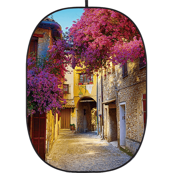 Godox CBA-CS0001 Collapsible Background Street 1