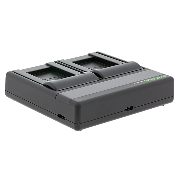 Ladegerät Kamera Akku Dual zu Sony NP-BX1 USB-C Anschluss