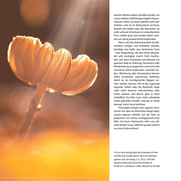 Kreative Naturfotografie Praxisbuch D. Schoonhoven