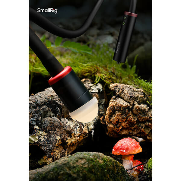 Licht zur Makrofotografie