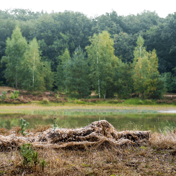 Tarnnetz zur Fotografie in der Natur mit rotem Farbton CCN-1R im Einsatz Tarnnetz zur Fotografie in der Natur mit rotem Farbton CCN-1R im Einsatz