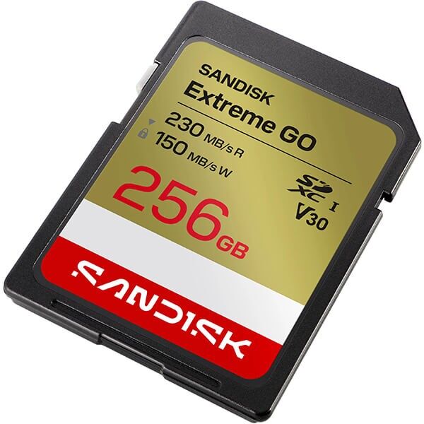 Close-up of the SanDisk Extreme Go SDXC 256GB memory card Close-up of the SanDisk Extreme Go SDXC 256GB memory card