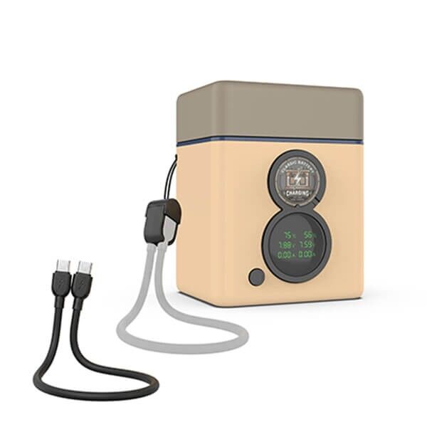 Patona Protec Dual Charging Case with 2 batteries such as Sony NP-FZ100 Patona Protec Dual Charging Case with 2 batteries such as Sony NP-FZ100