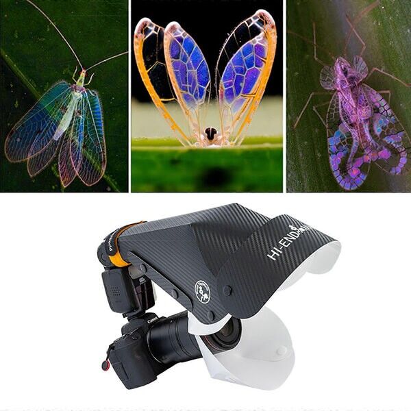 Makro-Blitzdiffusor Softbox Small V3 Makroobjektive bis 60 mm